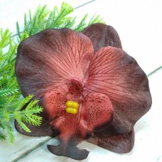 Орхідея темно-червона 8 см.