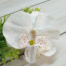 Орхідея біла 8 см.