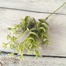 Гілка зелені цвіт кропу білий 30 см.