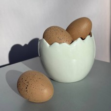 Кашпо керамічне біле "Яйце" №1