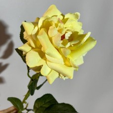 Гілка "Троянда" молочна, оксамитова. Довжина гілки-60 см. Діаметр квітки-11 см.