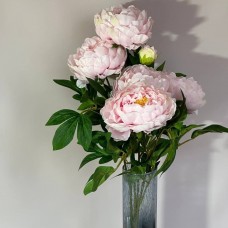 Букет Півонії рожевої 65 см. (5 квіток- 14 см. 2 бутона-3 см.)
