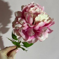Гілка півонії рожева 56 см. Квітка діаметром 12 см.