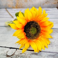 Гілка "Соняшник" 60 см. 1 квітка діаметром 14 см.