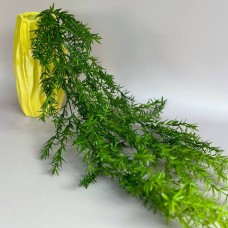 Гілочка декоративна зелена "Аспарагус" 83 см.