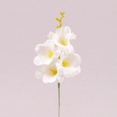 Квітка Фрезія біла 35 см. головок 4шт бутона 2 шт.