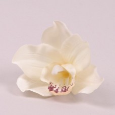 Головка Орхідеї кремова 8 см.
