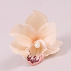 Головка Орхідеї персикова 8 см.