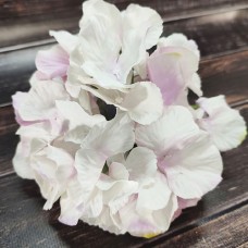 Гортензія 14 см. (квітка 6 см.) біло-рожева