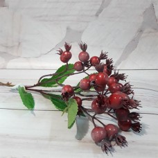 Гілка шипшини з темно-червоними ягодами загальна довжина 46 см.