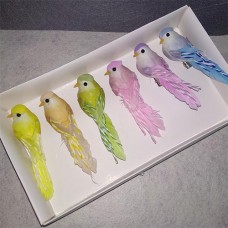 Пташки кольорові